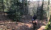 Trail Horseback riding Fougerolles-Saint-Valbert - Balade 1h vers chez le poix - Photo 2