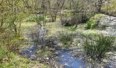 Trail Walking Recloses - Recloses 2025 - Photo 2