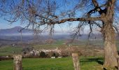 Tour Wandern Ainhoa - Ainhoa. Col de 3 croix - Photo 1