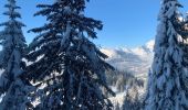 Percorso Racchette da neve Saint-Jean-de-Sixt - Le panorama du Danay (14) - Photo 13