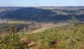 Tocht Stappen Stoumont - Moulin du Ruy _ GR _ IDEE RANDO 214 _ Vallée du Roannay - Photo 1