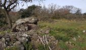 Randonnée Marche nordique Octon - Octon Dolmens de Toucou - Photo 8