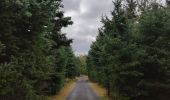 Tocht Stappen Rimouski - Randonnée du parc du Bic  - Photo 1