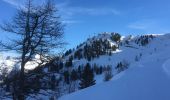 Randonnée Raquettes à neige Orsières - Champex Lac - La Breya - Champex Lac - Photo 8