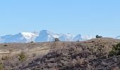 Tour Wandern Malijai - MALIJ AI,  les Bertrands , le Rabou , col de Puimichel , église S Florent , Chenerilles , n - Photo 7