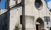 Trail Walking Forcalquier - 20190513. Tour de Forcalquier à pied.  - Photo 16
