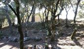 Trail Walking Carcès - 20191016 Carcès le Lac 2 - Photo 1