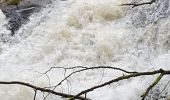 Excursión Senderismo Arfeuilles - la cascade de pisserotte - Photo 2