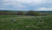 Randonnée Marche Les Hermaux - Rando Lozère.. Rajas..Malailhebiai. - Photo 16