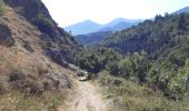 Trail Walking La Cabanasse - Mois pontpedrouse après montée en train jaune  - Photo 16