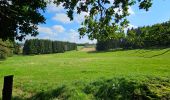 Tour Wandern Hohenfels - Balade à Houffalize - Photo 8