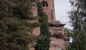 Tocht Stappen Barr - Barr - Mont St Odile - château du Landsberg - Photo 13
