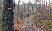 Trail Walking Darnets - boucle des Troubadours - Photo 19