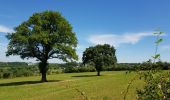 Tour Wandern Sprimont - Banneux - Rouge Thier - Adzeux - Photo 7