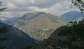 Tocht Stappen Marie - marie col de serena par la piste et retour sentier - Photo 1