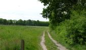 Trail On foot Willebroek - Vekielpad - Photo 9