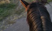 Trail Horseback riding Fronton - Trec 2 finalisé - Photo 14