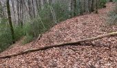 Tocht Stappen Brassac - L’escalier de la Peyre par les Costes - Photo 3