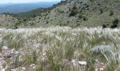 Tour Wandern Vauvenargues - col des portes pic des mouches la singe la citadelle - Photo 1