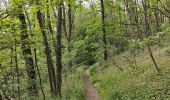 Trail Walking Sorbiers - Randonnée au dessus de Sorbiers  - Photo 19