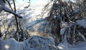 Tour Wandern Basse-sur-le-Rupt - piquante Pierre col menufosse roche des chats  - Photo 14