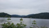 Tocht Stappen Schluchsee - Forêt Noire : tour du lac Schluchsee - Photo 8