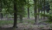 Excursión Senderismo Ottignies-Louvain-la-Neuve - Lauzelle - Circuit Natura 2000, des sites qui valent le détour ! - Bw01 - Photo 4