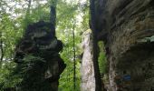 Trail Walking Waldbillig - Mullerthal randonnée magnifique - Photo 11