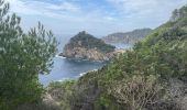 Tour Wandern Hyères - Porquerolles - Photo 11