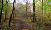 Trail Walking Vieux-Moulin - en forêt de Compiègne_26_la Grotte des Ramoneurs_Tournantes de la Queue de Saint-Etienne et sur la Côte de Roilaye - Photo 13