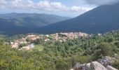 Tocht Stappen Vezzani - Vezzani Boucle de Razzu Rossu - Photo 1