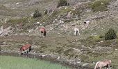 Trail Walking Les Angles - Lacs des Bouillouses - Photo 4