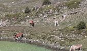 Tocht Stappen Les Angles - Lacs des Bouillouses - Photo 4