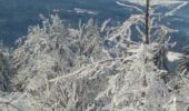 Tour Schneeschuhwandern Pontarlier - Pontarlier Gounfay Grand Taureau 2021-01-19 CAF - Photo 7
