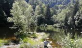 Randonnée Marche La Bresse - Kastelberg des pierres, des lacs, des panoramas magnifiques  - Photo 9