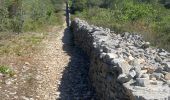 Randonnée Marche Cabrières-d'Avignon - Cabrières d’Avignon mur de la peste  - Photo 3