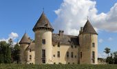 Excursión A pie Savigny-lès-Beaune - Chemin des Vignes - Photo 10