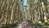 Trail Walking La Chaise-Dieu - Sentier du Serpent d'Or  - Photo 4