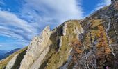 Percorso Marcia Saint-Baudille-et-Pipet - Des Lames d'Arçon au Col de l'Aiguille - Photo 16