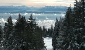 Randonnée Raquettes à neige Sainte-Croix - Col des Etroits Le Chasseron CAF - Photo 16