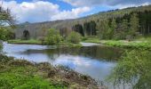 Tour Wandern Vresse-sur-Semois - Vresse via Mouzaive 020523 - Photo 4