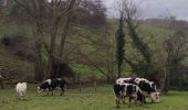 Tocht Stappen Blegny - Balade ressourçante à Blegny  - Photo 10