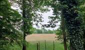 Trail Walking Mons - Havré (Mons) - Photo 2