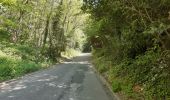 Trail Walking Liège - rando la plus bucolique sur les coteaux rive gauche de la meuse - Photo 18