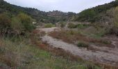 Randonnée Marche Bagnols-en-Forêt - FREJUS - BARRAGE DE MALPASSET DEPUIS COL DE LA GARDIETTE - Photo 18