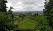 Excursión Bici de montaña Saint-Clément - sortie vtt du 14062020 Antenne de Lunéville par Mont Sur Meurthe - Photo 10