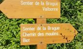 Excursión Senderismo Valbonne - La Brague de Valbonne - Photo 8