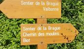 Trail Walking Valbonne - La Brague de Valbonne - Photo 8