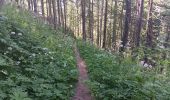 Tour Wandern Crévoux - mon.parcours des fées : cascade de razis via le torrent / retour via le canal du meal - Photo 7