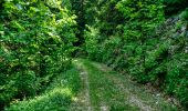 Tour Wandern Saint-Agnan-en-Vercors - Les Rancs de Charles - Vercors - La Coche - Photo 9